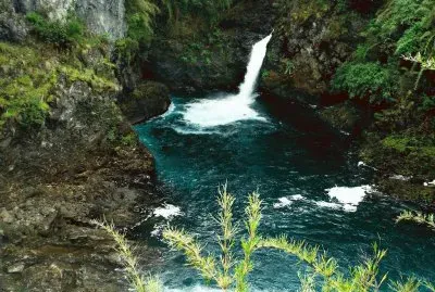 Cascada Los Alerces. RÃ­o Negro. Argentina
