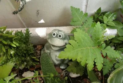 פאזל של jardin