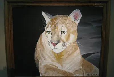 Pinturas sobre animales que estan en riesgo de EXTINCION  en el noroeste Argentino !!