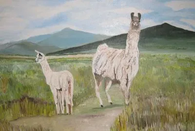 פאזל של LLAMAS