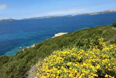 Paisagem Italiana