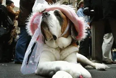 paseando