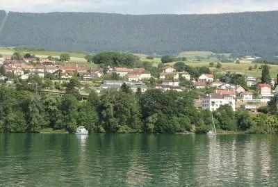 Sauges jigsaw puzzle