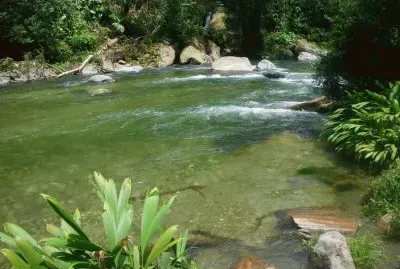 RÃ­o Buritaca. Santa Marta. Colombia jigsaw puzzle