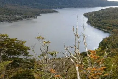 Lago Escondido. Tierra del Fuego. Argentina jigsaw puzzle