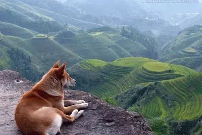 Natureza
