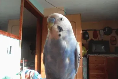 sebas.camelo.gmail.com