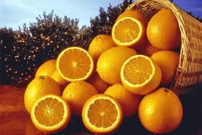 canasto de naranjas