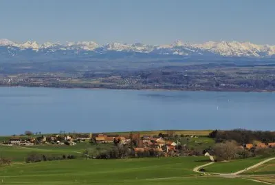 Fresens jigsaw puzzle