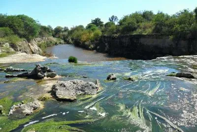 En Diamante. Entre RÃ­os. Argentina