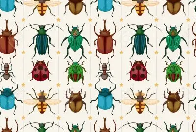 BICHOS jigsaw puzzle
