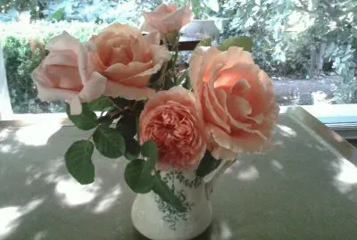 FLORES