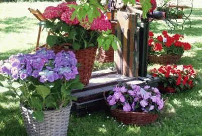 jardin