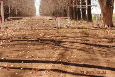 פאזל של camino