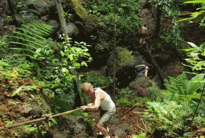 En la Isla Dominica