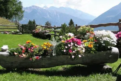 hermoso jardin con flores