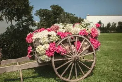 carreta con flores1