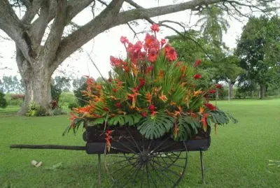 carreta con flores 4 jigsaw puzzle