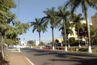 Americana - SP jigsaw puzzle