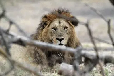 favorites jigsaw puzzle