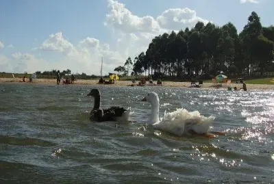 El ParanÃ¡ en ItuzaingÃ³. Corrientes. Argentina