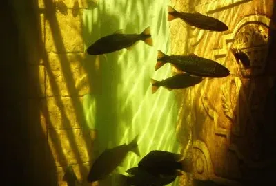 En Montecarlo. Misiones. Argentina