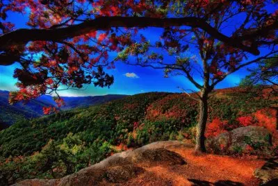 Natureza