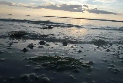 plage