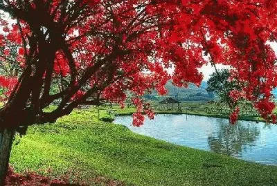 Natureza
