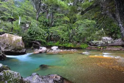 RÃ­o Pichi Traful. NeuquÃ©n. Argentina