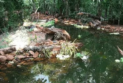 PN IguazÃº. Misiones. Argentina