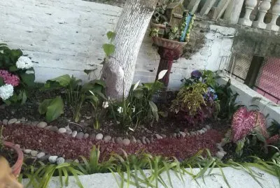 jardin