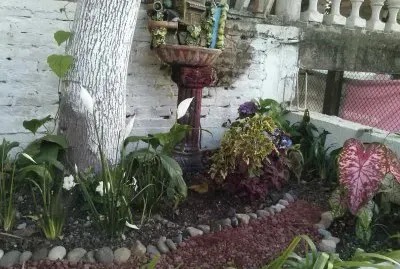 jardin