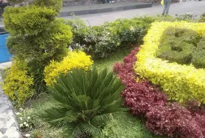 jardin