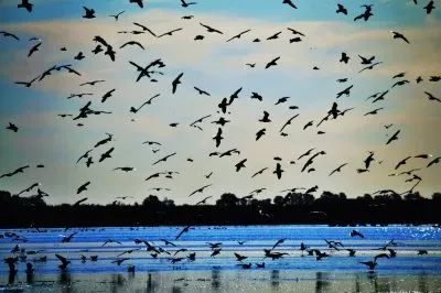 Laguna Mar Chiquita. CÃ³rdoba. Argentina