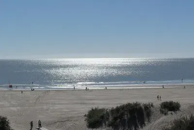 Varios jigsaw puzzle