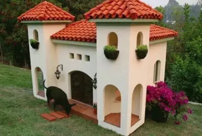 perro rico jigsaw puzzle