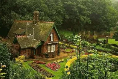 NÂº 1186 jigsaw puzzle