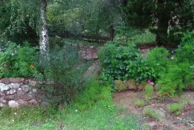 En Calamuchita. CÃ³rdoba. Argentina