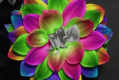 פאזל של Fantastic