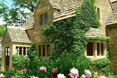 NÂº 1193 jigsaw puzzle