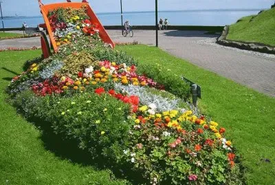 פאזל של flores