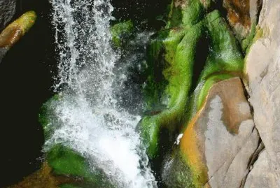 En OlaÃ©n. CÃ³rdoba. Argentina