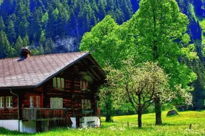 NÂº 1195 jigsaw puzzle