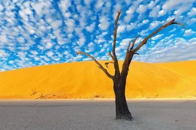 Natureza