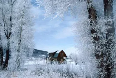 winter11