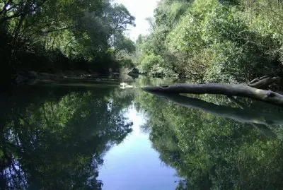 פאזל של Arroyo ChapÃ¡. OberÃ¡. Misiones. Argentina