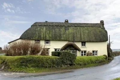 Natureza jigsaw puzzle