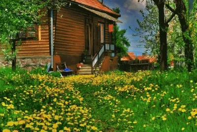 פאזל של NÂº 656