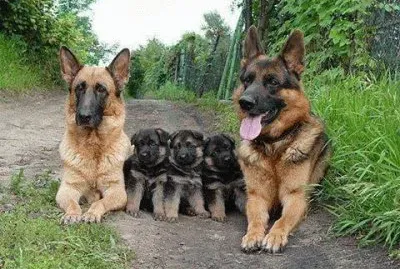 lovely family